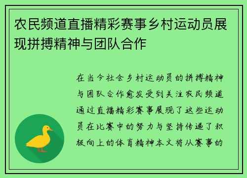 农民频道直播精彩赛事乡村运动员展现拼搏精神与团队合作
